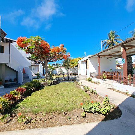 Hostal Tero Real 比亚米尔港 外观 照片