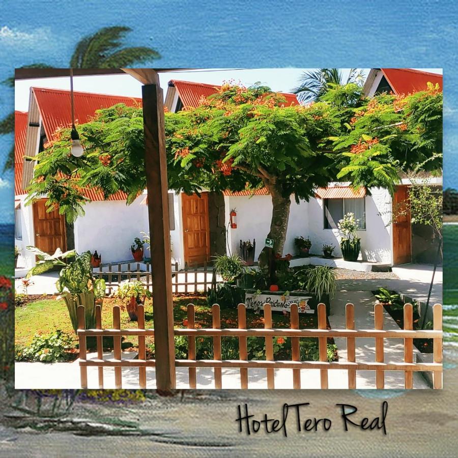 Hostal Tero Real 比亚米尔港 外观 照片