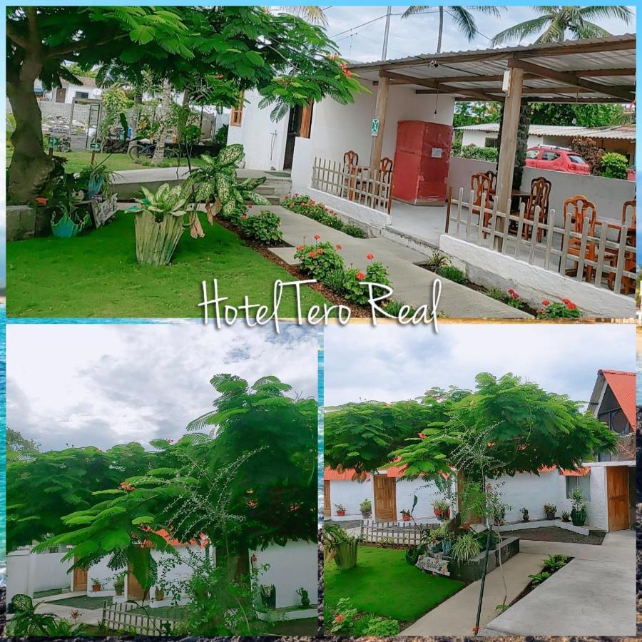 Hostal Tero Real 比亚米尔港 外观 照片