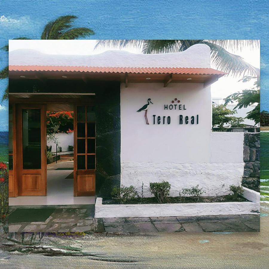 Hostal Tero Real 比亚米尔港 外观 照片