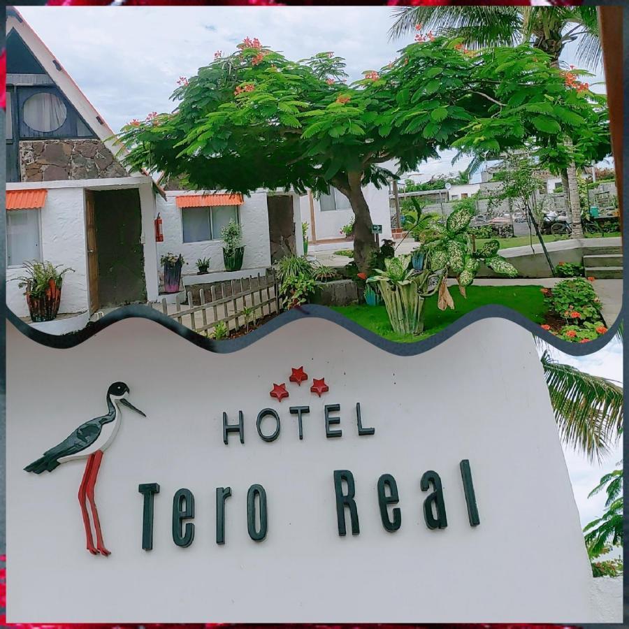Hostal Tero Real 比亚米尔港 外观 照片