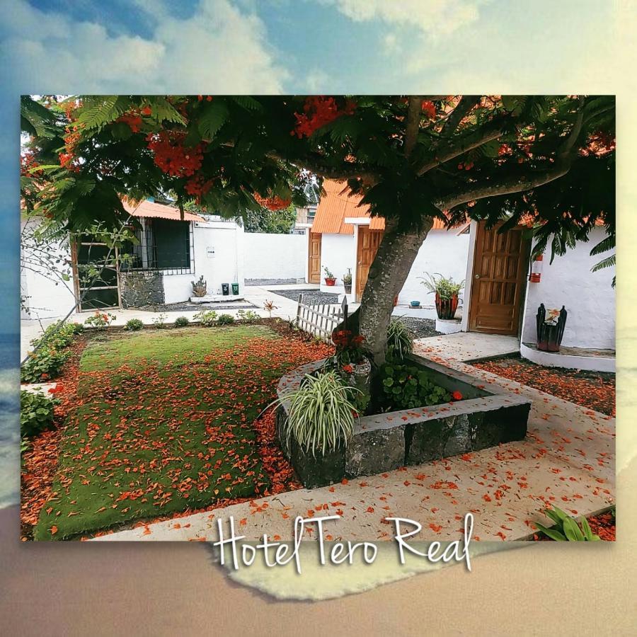 Hostal Tero Real 比亚米尔港 外观 照片