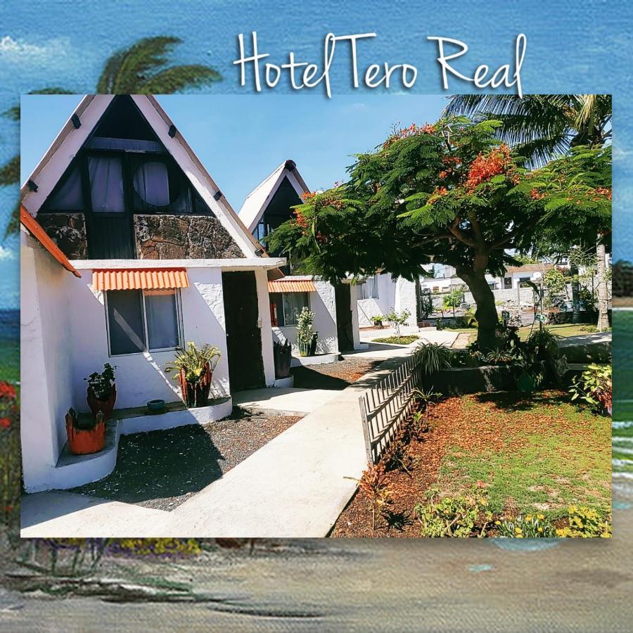 Hostal Tero Real 比亚米尔港 外观 照片