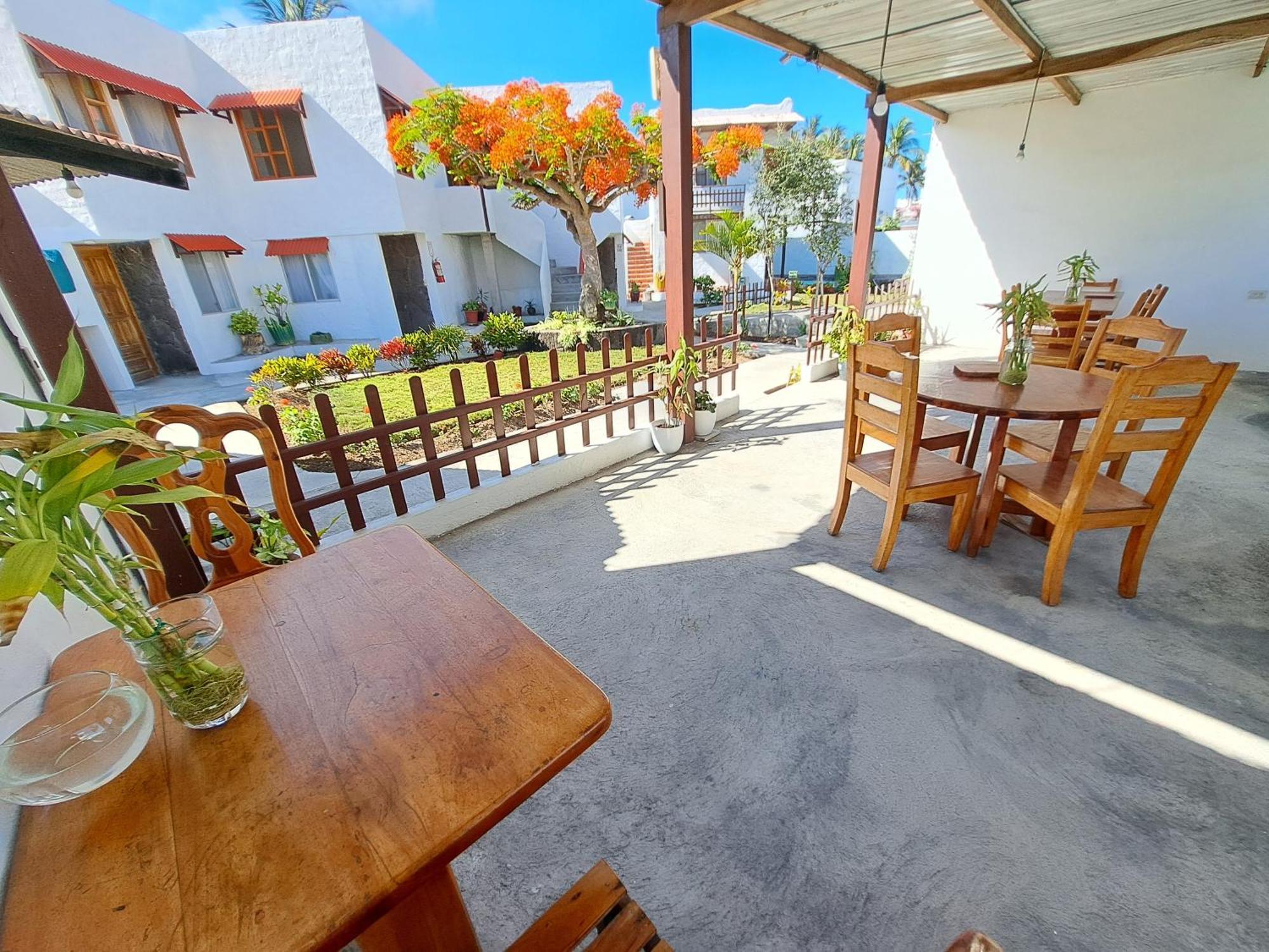 Hostal Tero Real 比亚米尔港 外观 照片